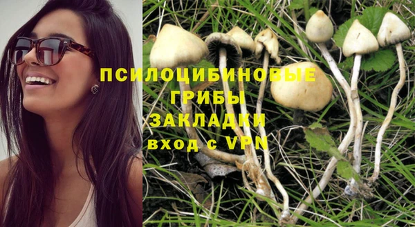 альфа пвп Корсаков