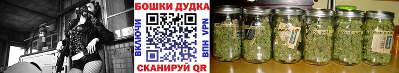 Конопля план  Купить где  Липецк 